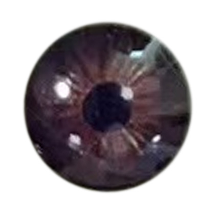 Eye color 6