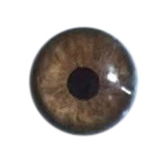 Eye color 1