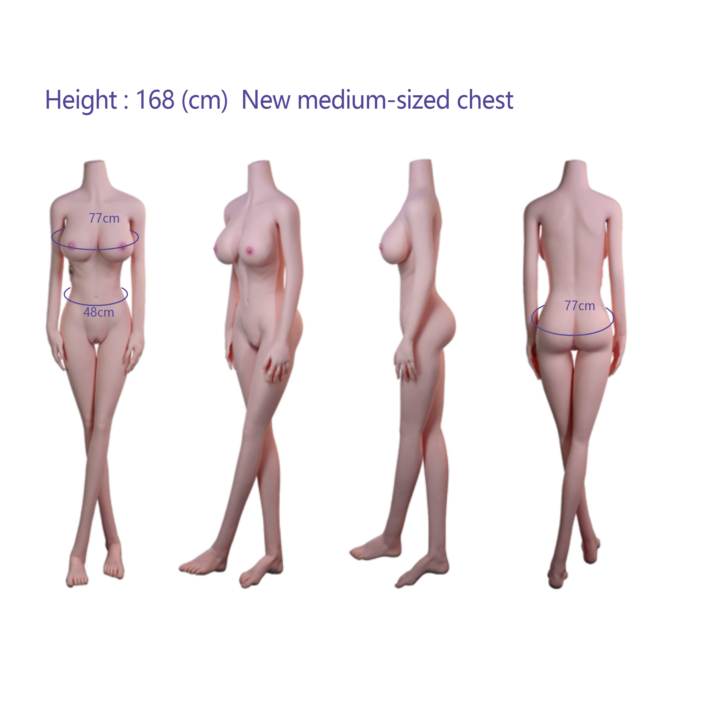168 (cm)  New medium-sized chest