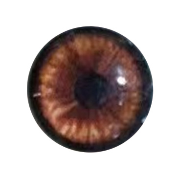 Eye color 2