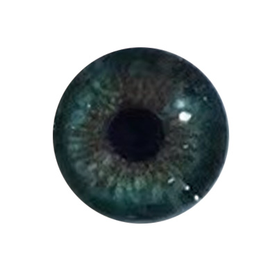 Eye color 4