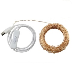 Amazon hot selling 5m/10m/15m/20m USB copper string light with switch button