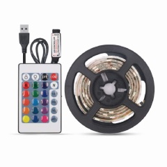 RGB LED trip light with remote for home/ festival decoration