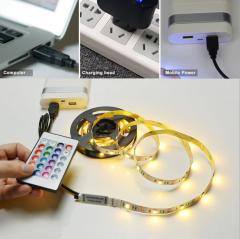 RGB LED trip light with remote for home/ festival decoration
