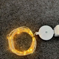 new design USB copper string light with music