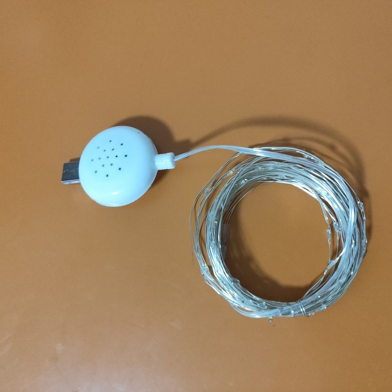 new design USB copper string light with music