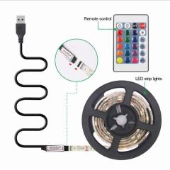 RGB LED trip light with remote for home/ festival decoration