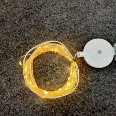 new design USB copper string light with music