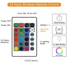 waterproof battery powered with remote RGB 16 color chaning LED ball string light for Christmas