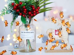 battery powered / USB powered LED Santa Claus christmas copper string light for Christmas decoration