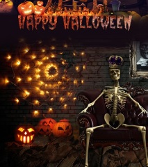 hot selling USB with remote LED spider web light for Halloween decoration