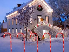 Outdoor Solar Powered Christmas LED walking stick light