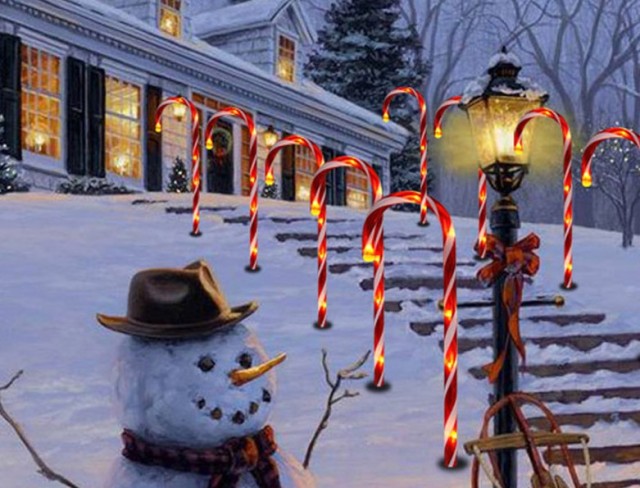 Outdoor Solar Powered Christmas LED walking stick light