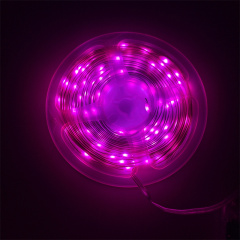 USB powered App + Remote control 5m 10m programmable rgb led christmas lights