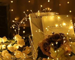 LED fireworks Christmas tree light Outdoor Warm white