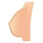 Default breasts