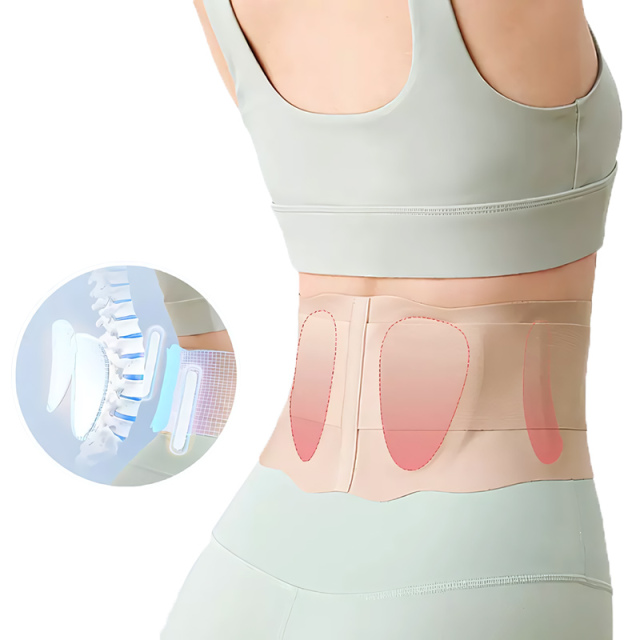 Universal Waist Support Belt S.M.L.XL Adjustable Elasticity Breathable Protection for Lower Back Pain Relief Adjustable Waist