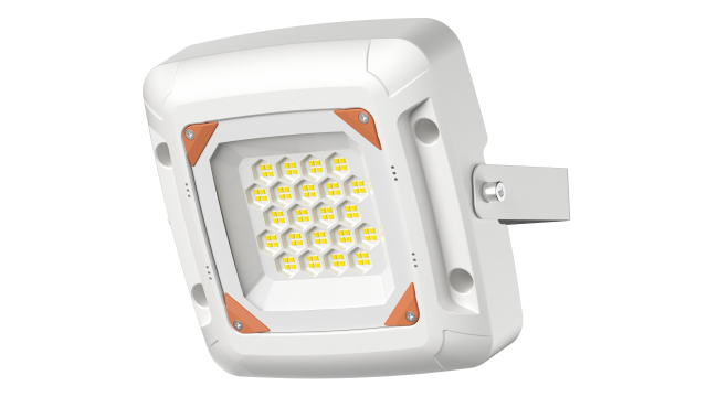 FY GAS STATION LIGHT 50W-canopy light-Explosion-proof lights
