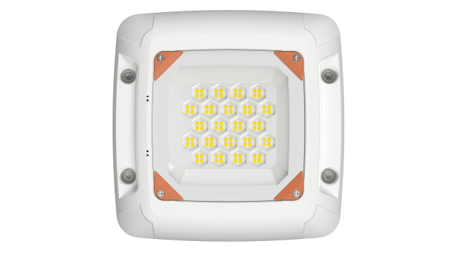 FY GAS STATION LIGHT 50W-canopy light-Explosion-proof lights