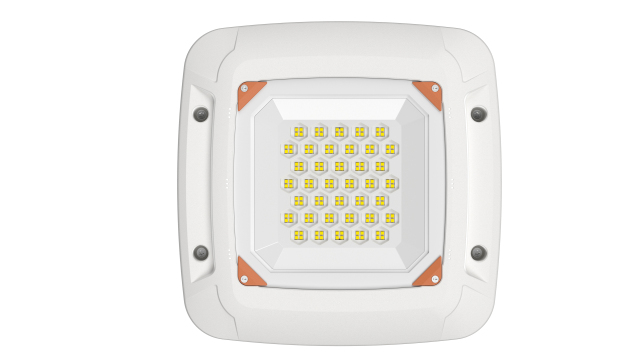 FY GAS STATION LIGHT 100W-Gas station light-canopy light