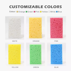 Why Choose Cellulose Sponges?