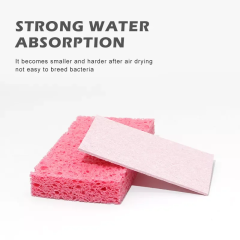 Why Choose Cellulose Sponges?