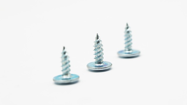 برغي ذاتي اللولبة برأس جملوني