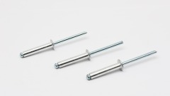 مسمار أعمى طبيعي