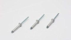 مسمار أعمى طبيعي