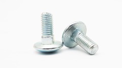 Carriage bolt