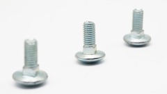 Carriage bolt