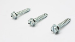Slotted hex head self tapping screw