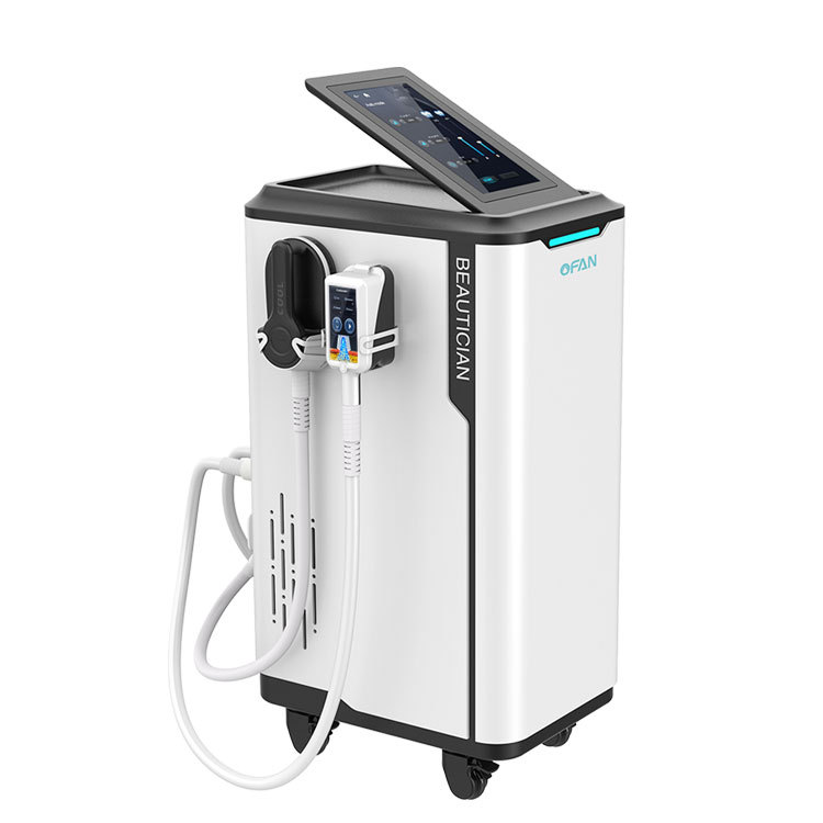 Wholesale Factory Price 2 In 1 Electromagnetic Muscle Stimulation With 360 Cyrolipolysis Cold Freezing Fat Loss HI-EMT Cooling Beauty Equipment