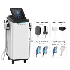 Wholesale Factory Price 2 In 1 Electromagnetic Muscle Stimulation With 360 Cyrolipolysis Cold Freezing Fat Loss HI-EMT Cooling Beauty Equipment