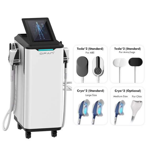 Wholesale Factory Price 2 In 1 Electromagnetic Muscle Stimulation With 360 Cyrolipolysis Cold Freezing Fat Loss HI-EMT Cooling Beauty Equipment