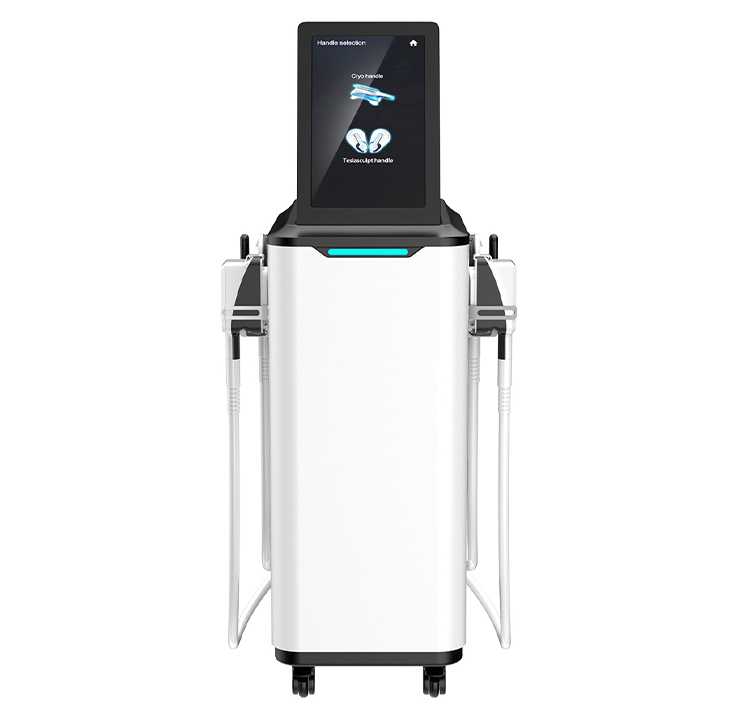 Wholesale Factory Price 2 In 1 Electromagnetic Muscle Stimulation With 360 Cyrolipolysis Cold Freezing Fat Loss HI-EMT Cooling Beauty Equipment