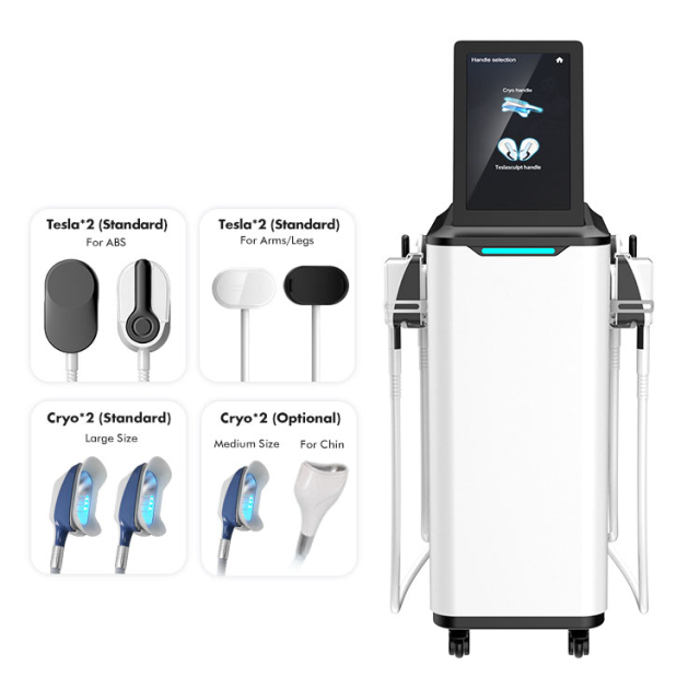 Wholesale Factory Price 2 In 1 Electromagnetic Muscle Stimulation With 360 Cyrolipolysis Cold Freezing Fat Loss HI-EMT Cooling Beauty Equipment