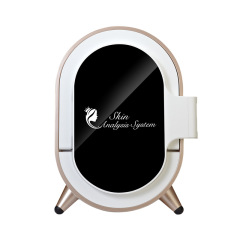 Factory SPA Portable Smart Magic Mirror 3D High Pixel Facial Skin Analyzer Machine