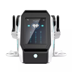 Portable Neo RF EMS Sculpting Muscle Stimulator Burn Fat Beauty Equipment