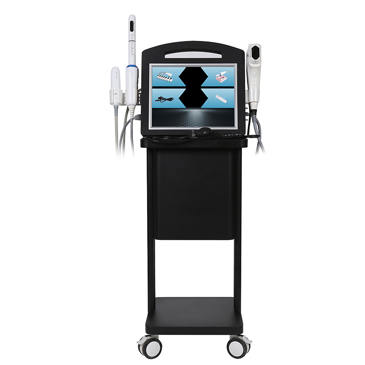 4D HIFU Non-invasive 3 In 1 High Intensity Focused Ultrasound Radar Carving Lifting Face And Private Skin Tighten Machine