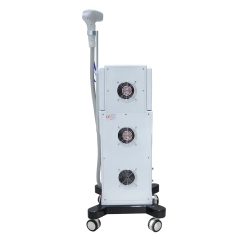Factory Price Permanent Hair Removal 808nm Diode Laser Beauty Device
