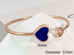 Stainless Steel Jewelry Wholesale - Stainless Steel Bangles - HY0123B059