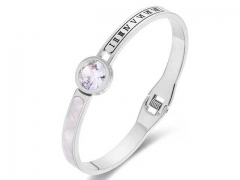 Stainless Steel Jewelry Wholesale - Stainless Steel Bangles - HY0155B0101