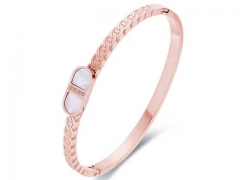 Stainless Steel Jewelry Wholesale - Stainless Steel Bangles - HY0155B0069