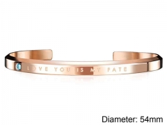 Stainless Steel Jewelry Wholesale - Stainless Steel Bangles - HY0016D023