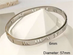 Stainless Steel Jewelry Wholesale - Stainless Steel Bangles - HY0123B139