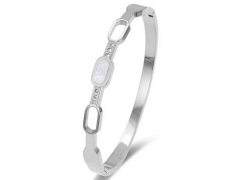 Stainless Steel Jewelry Wholesale - Stainless Steel Bangles - HY0155B0420