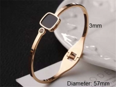 Stainless Steel Jewelry Wholesale - Stainless Steel Bangles - HY0123B009