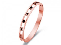 Stainless Steel Jewelry Wholesale - Stainless Steel Bangles - HY0155B0204