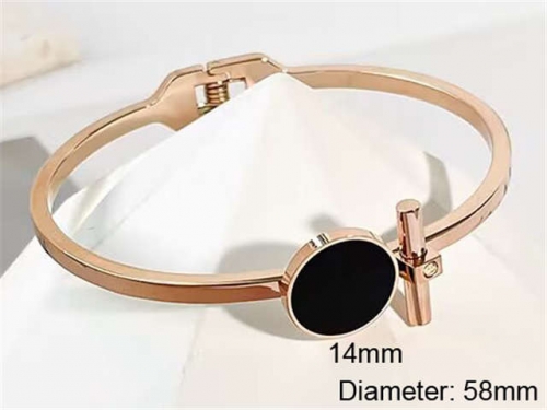 Stainless Steel Jewelry Wholesale - Stainless Steel Bangles - HY0123B189